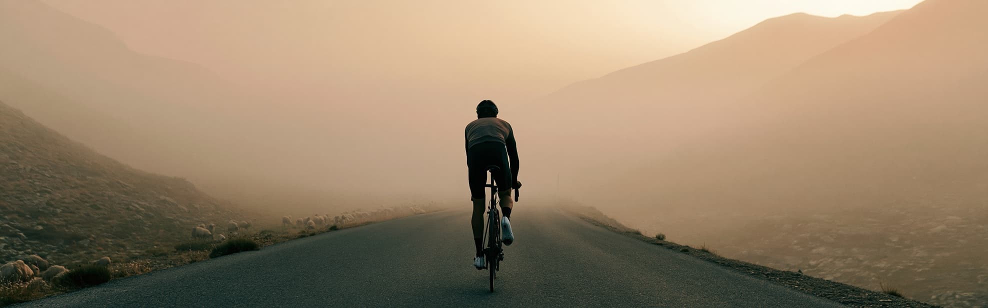 Road cyclist in alpine landscape at dawn